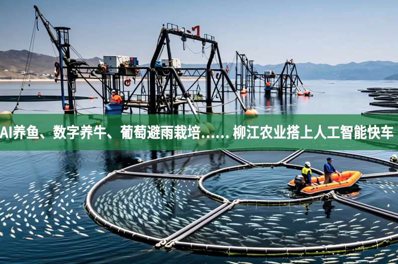 AI养鱼、数字养牛、葡萄避雨栽培…… 柳江农业搭上人工智能快车
