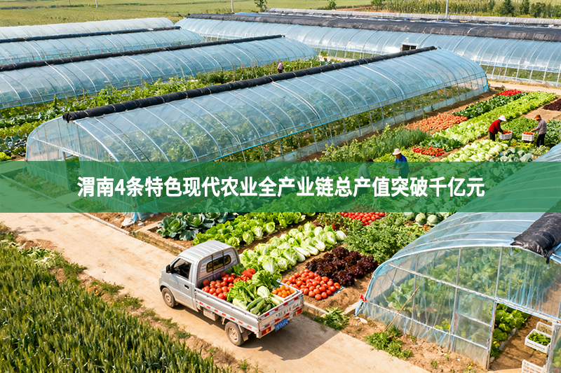 渭南4条特色现代农业全产业链总产值突破千亿元