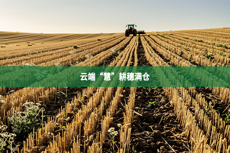 云端“慧”耕穗满仓