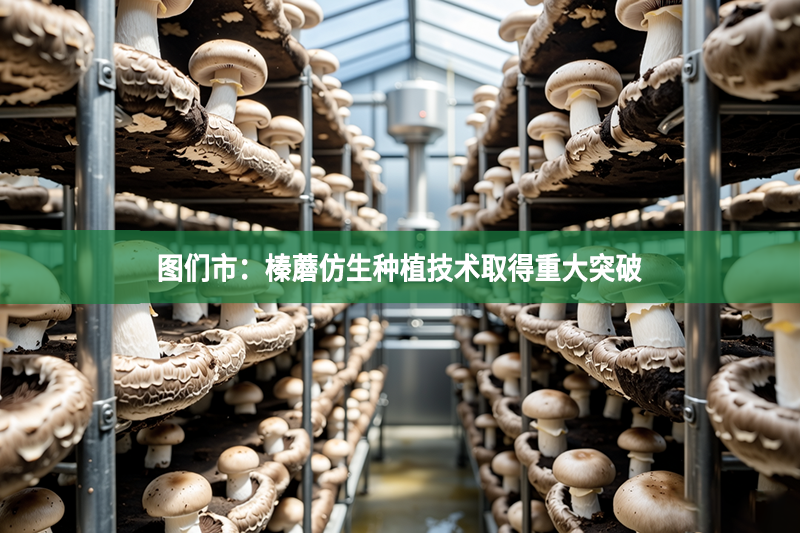 图们市：榛蘑仿生种植技术取得重大突破