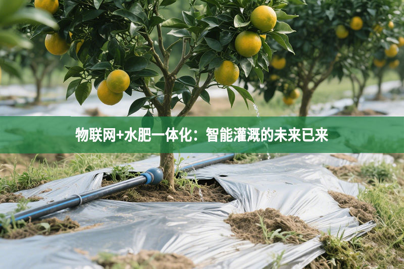 物联网+水肥一体化：智能灌溉的未来已来