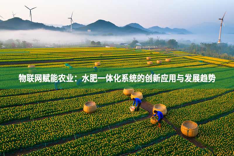 物联网赋能农业：水肥一体化系统的创新应用与发展趋势