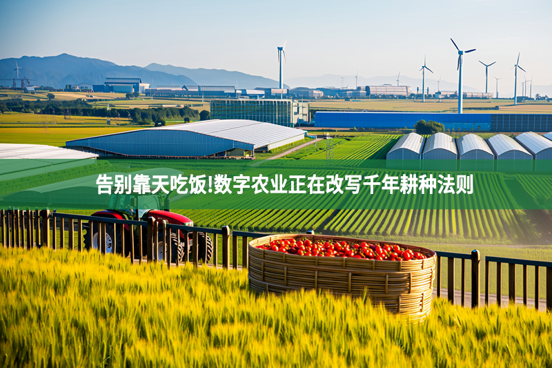 告别靠天吃饭!数字农业正在改写千年耕种法则