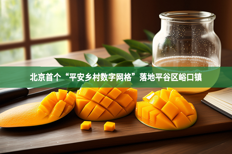 北京首个“平安乡村数字网格”落地平谷区峪口镇