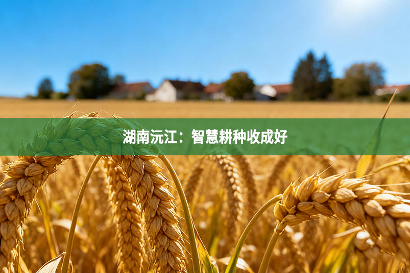 湖南沅江：智慧耕种收成好