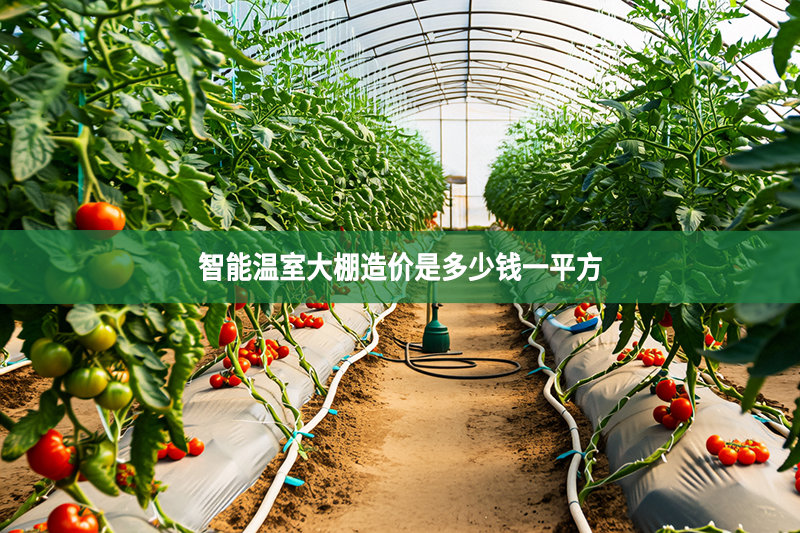 智能温室大棚造价是多少钱一平方