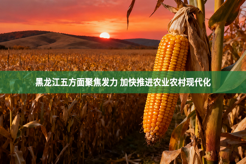 黑龙江五方面聚焦发力 加快推进农业农村现代化