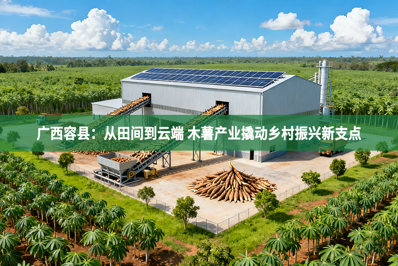 广西容县：从田间到云端 木薯产业撬动乡村振兴新支点