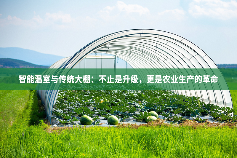 智能温室与传统大棚：不止是升级，更是农业生产的革命