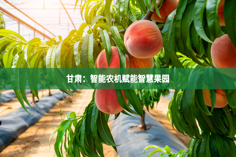 甘肃：智能农机赋能智慧果园