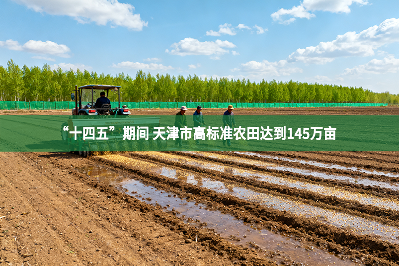 “十四五”期间 天津市高标准农田达到145万亩