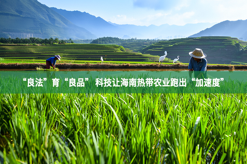 “良法”育“良品” 科技让海南热带农业跑出“加速度”