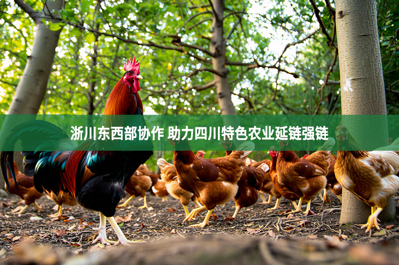 浙川东西部协作 助力四川特色农业延链强链