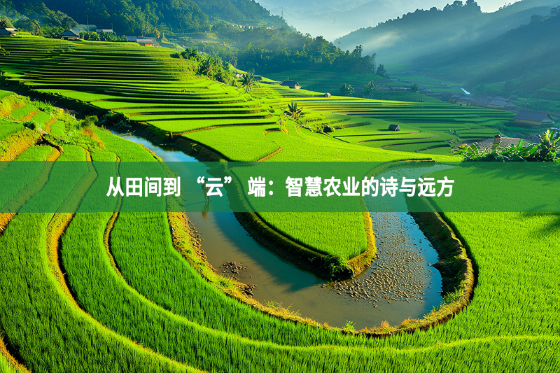 从田间到 “云” 端：智慧农业的诗与远方