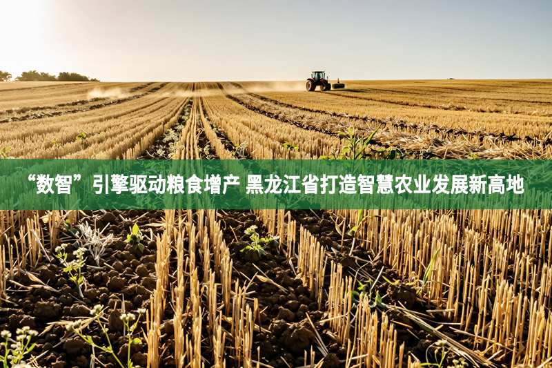 “数智”引擎驱动粮食增产 黑龙江省打造智慧农业发展新高地