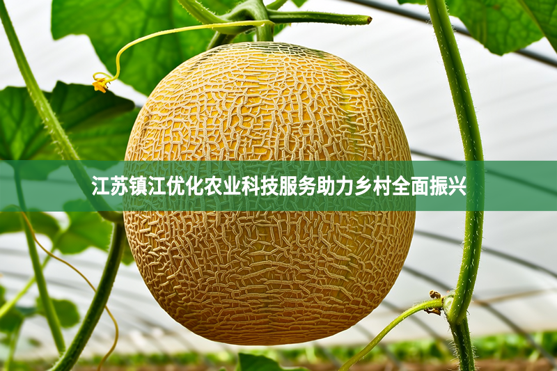 江苏镇江优化农业科技服务助力乡村全面振兴