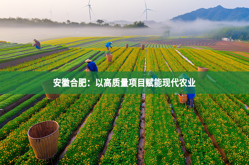 安徽合肥：以高质量项目赋能现代农业