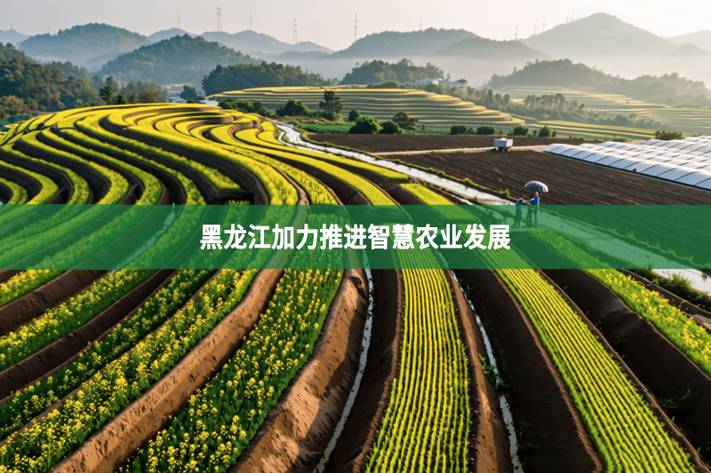黑龙江加力推进智慧农业发展