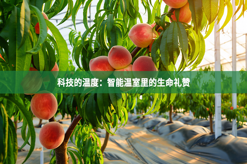 科技的温度：智能温室里的生命礼赞