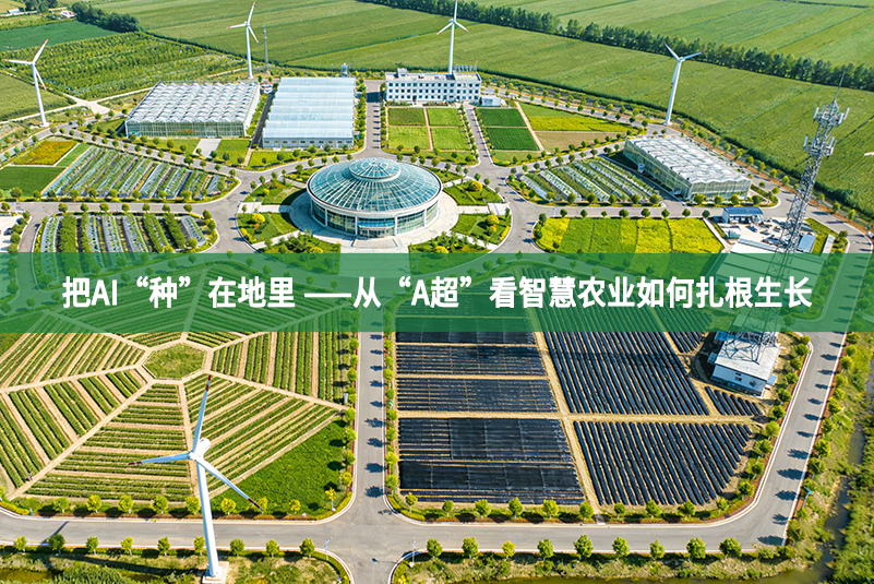 把AI“种”在地里 ——从“A超”看智慧农业如何扎根生长