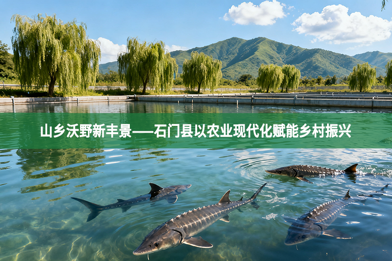 山乡沃野新丰景——石门县以农业现代化赋能乡村振兴
