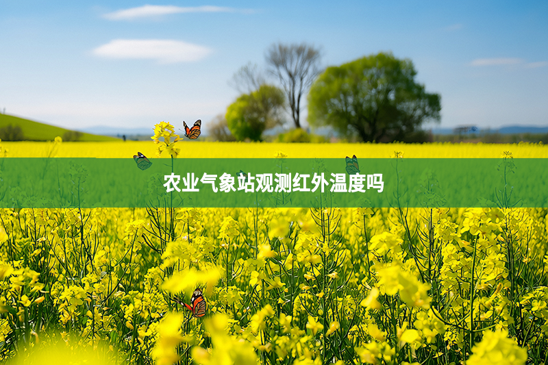 农业气象站观测红外温度吗