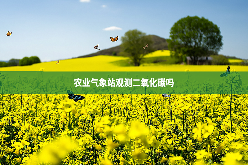 农业气象站观测二氧化碳吗