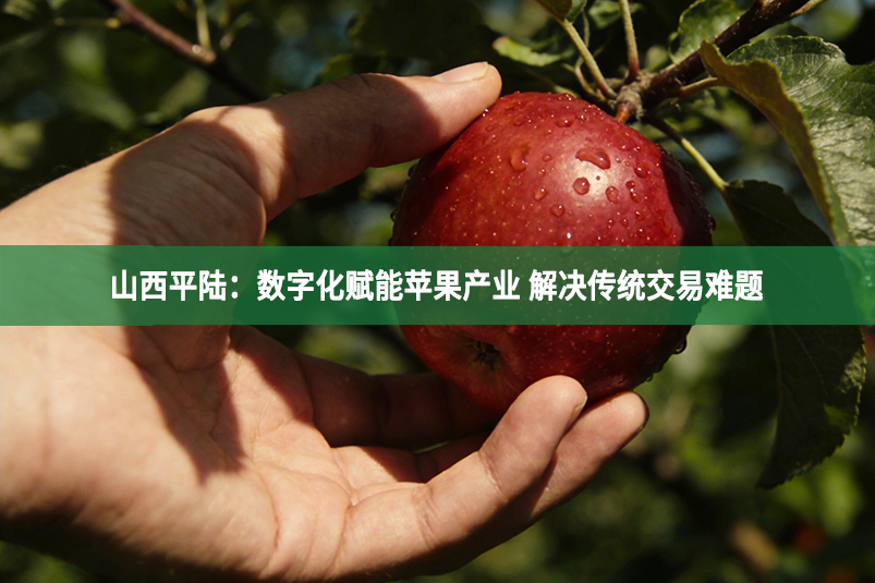 山西平陆：数字化赋能苹果产业 解决传统交易难题