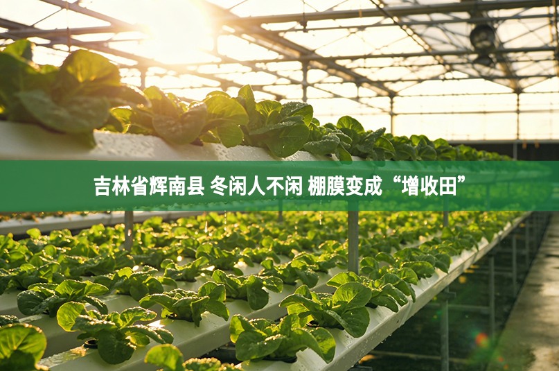 吉林省辉南县 冬闲人不闲 棚膜变成“增收田”