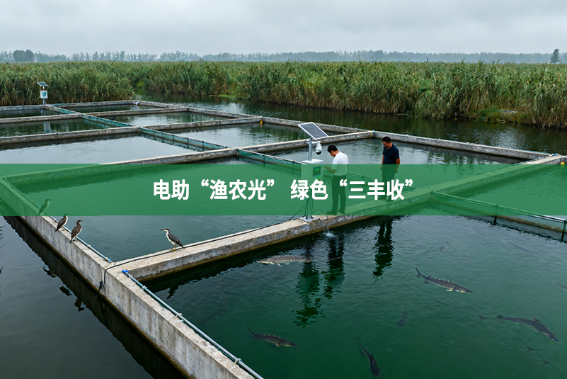 电助“渔农光” 绿色“三丰收”