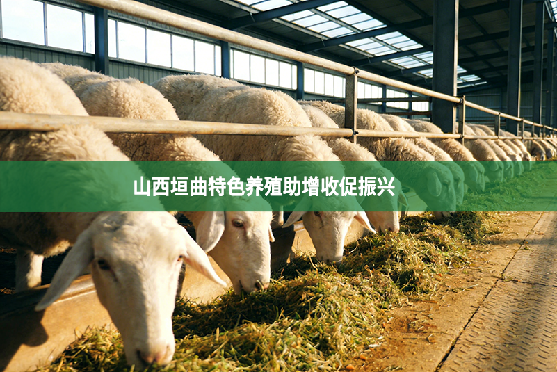 山西垣曲特色养殖助增收促振兴