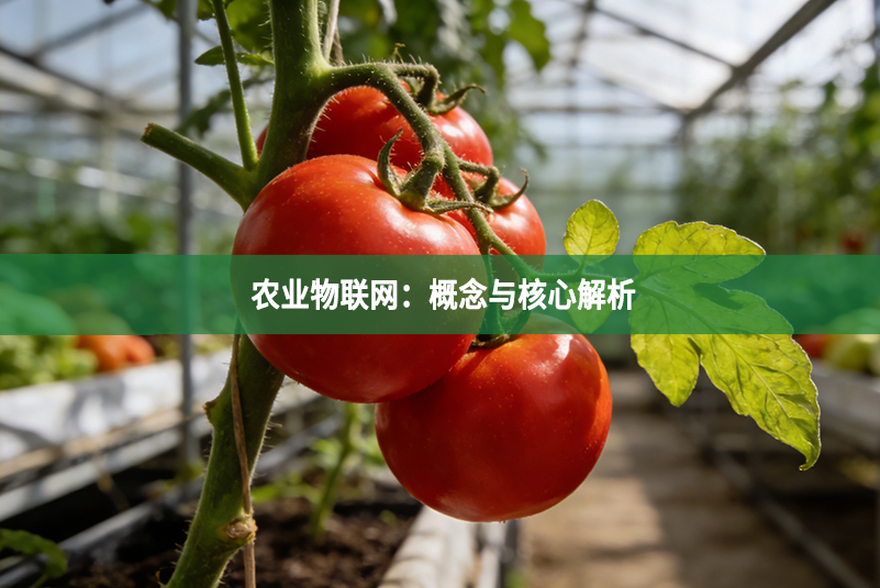 农业物联网：概念与核心解析