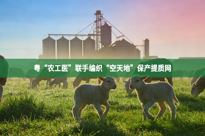粤“农工医”联手编织“空天地”保产提质网