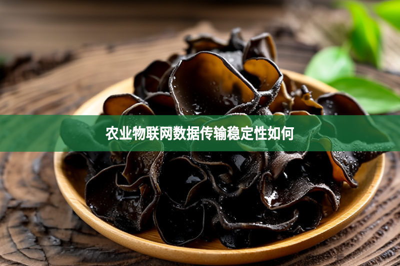 农业物联网数据传输稳定性如何
