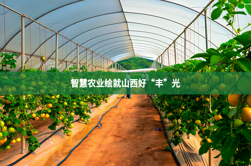 智慧农业绘就山西好“丰”光