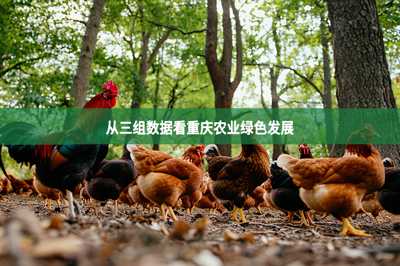 从三组数据看重庆农业绿色发展