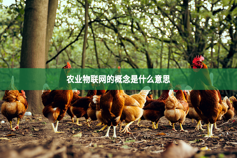 农业物联网的概念是什么意思