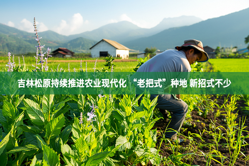 吉林松原持续推进农业现代化 “老把式”种地 新招式不少