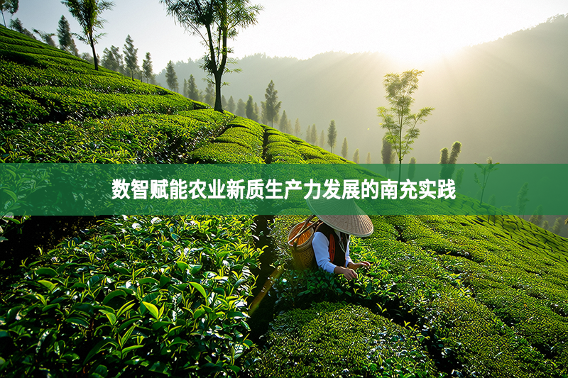 数智赋能农业新质生产力发展的南充实践