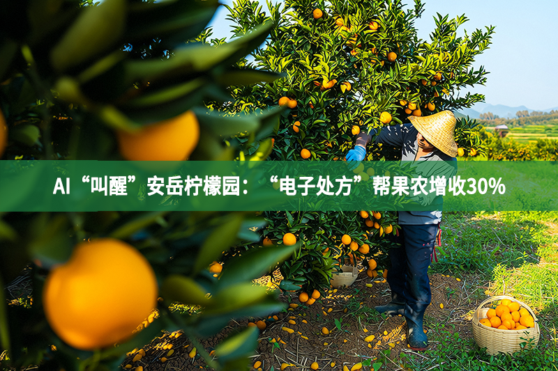AI“叫醒”安岳柠檬园：“电子处方”帮果农增收30%