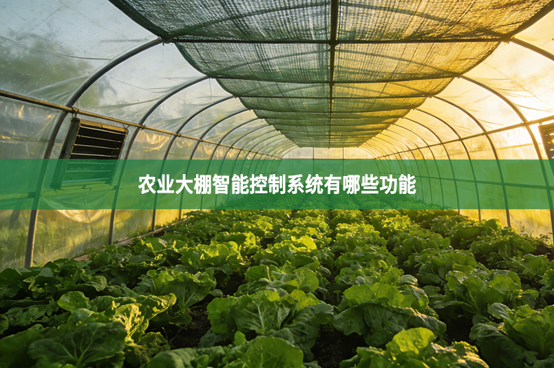 农业大棚智能控制系统有哪些功能