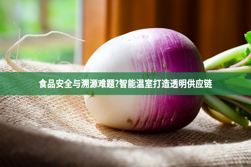 食品安全与溯源难题?智能温室打造透明供应链