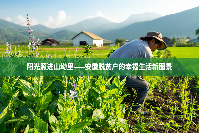 阳光照进山坳里——安徽脱贫户的幸福生活新图景