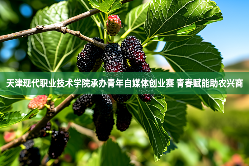 天津现代职业技术学院承办青年自媒体创业赛 青春赋能助农兴商