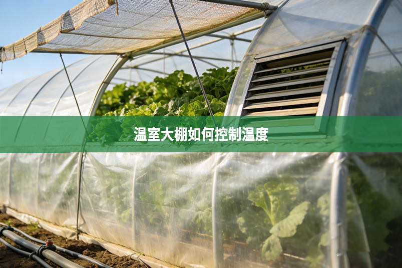 温室大棚如何控制温度