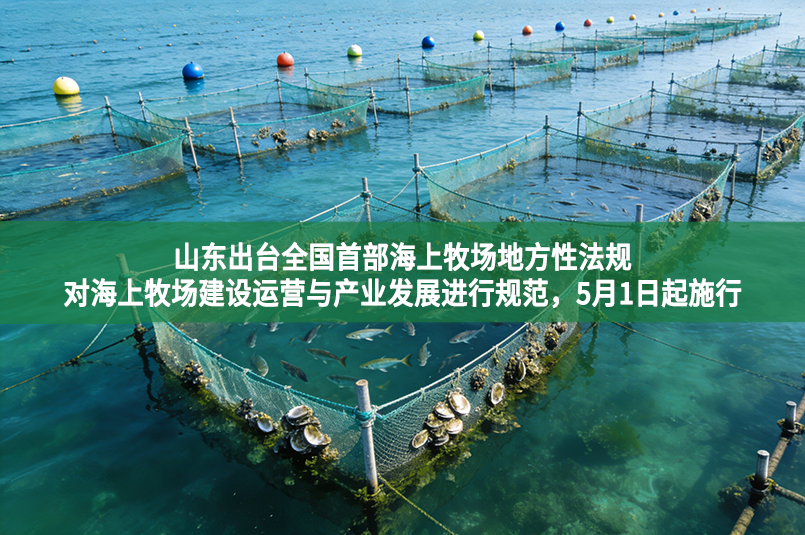 山东出台全国首部海上牧场地方性法规 对海上牧场建设运营与产业发展进行规范，5月1日起施行