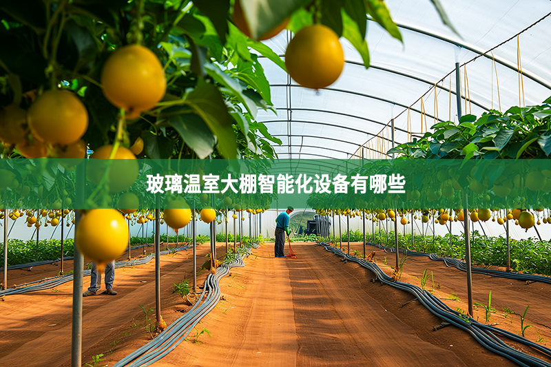 玻璃温室大棚智能化设备有哪些