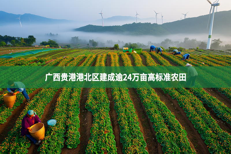 广西贵港港北区建成逾24万亩高标准农田
