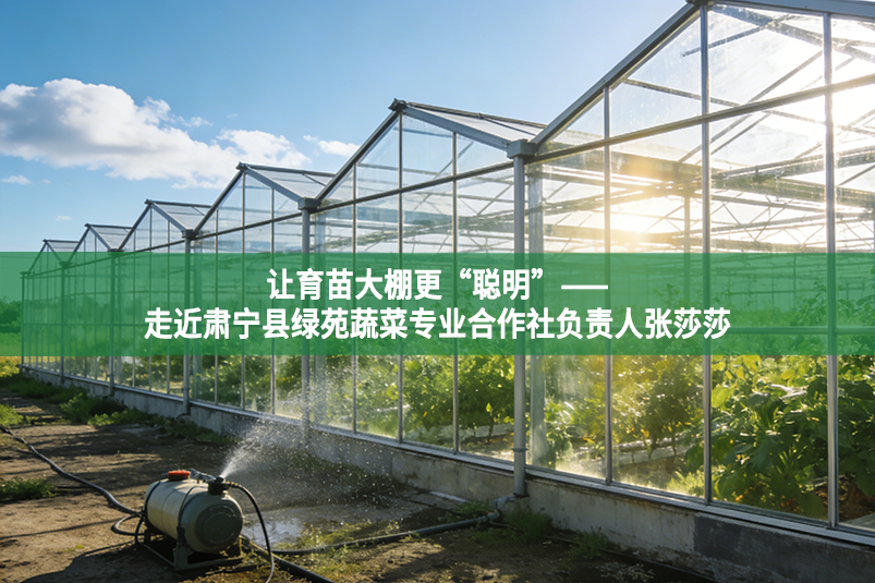 让育苗大棚更“聪明”——走近肃宁县绿苑蔬菜专业合作社负责人张莎莎