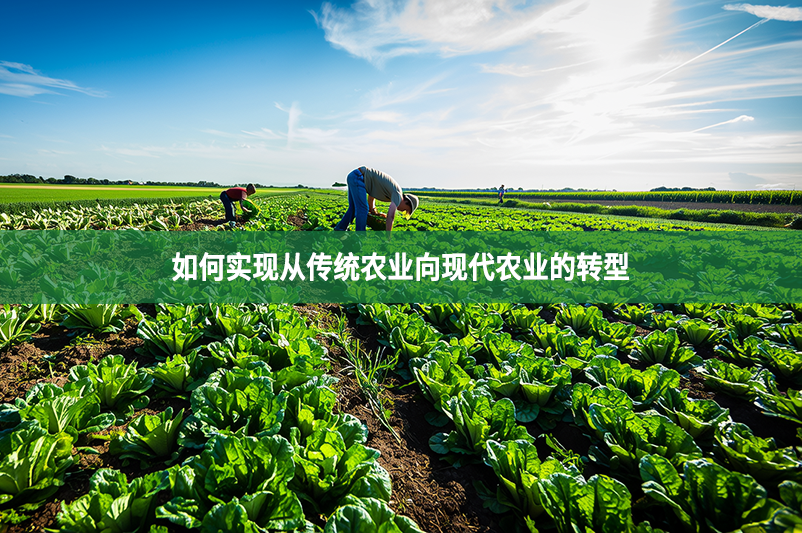 如何实现从传统农业向现代农业的转型?